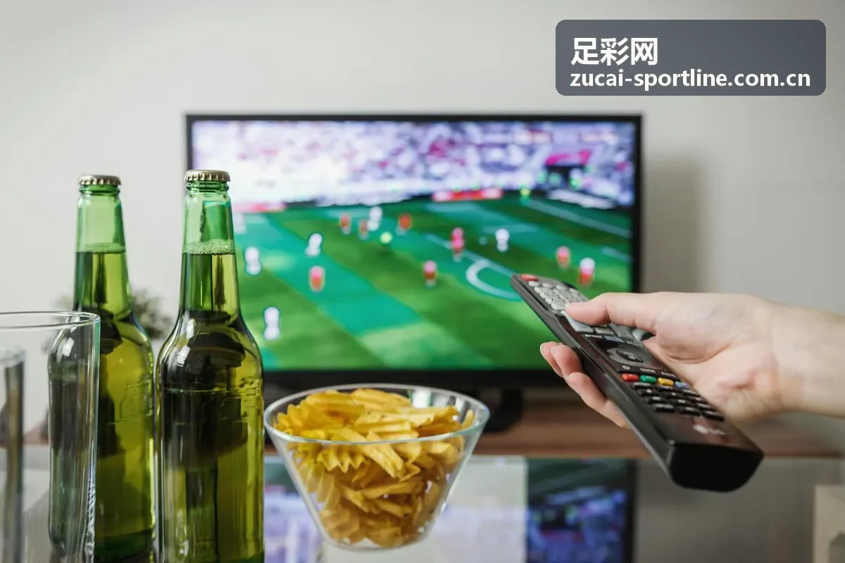足彩网数据参考栏目中的数据标注内容